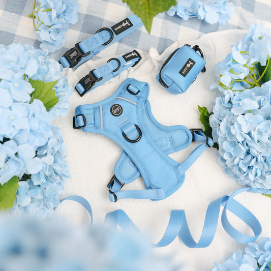 Hydrangea - Step In Harness